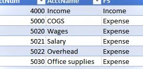 Una captura de pantalla de una tabla de Excel que almacena el número de cuenta, el nombre de la cuenta y las columnas fs.