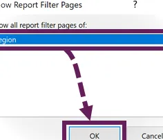 Cuadro de diálogo Mostrar páginas de filtro de informe